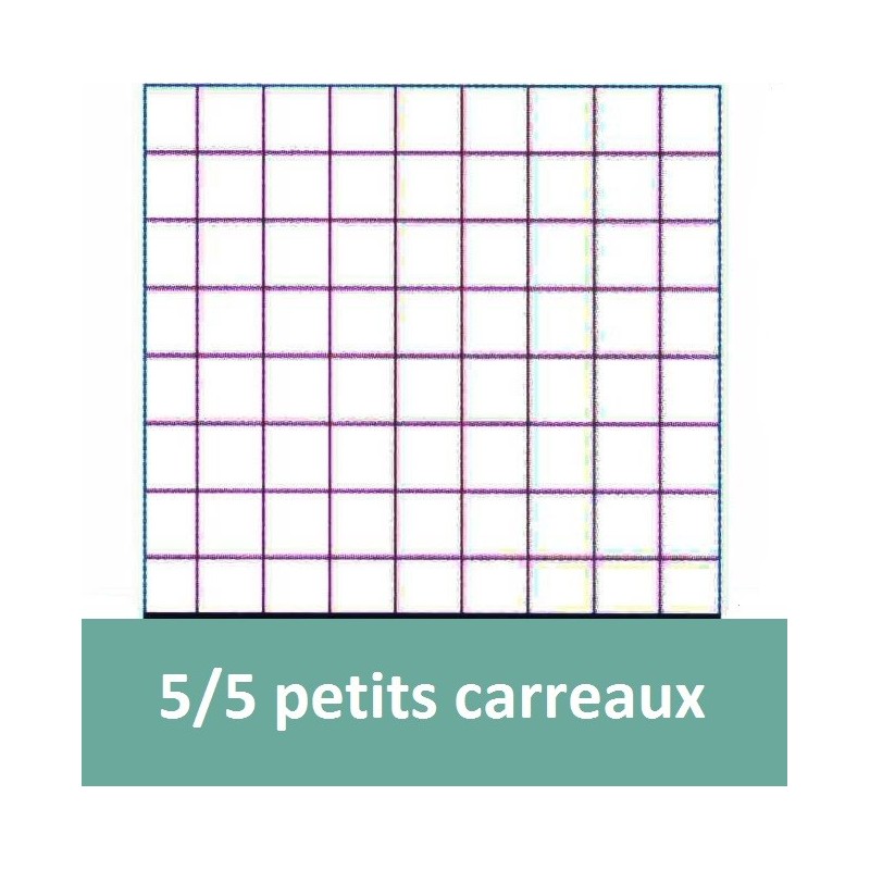Petit cahier grand carreaux SEYES / Small notebook large squares