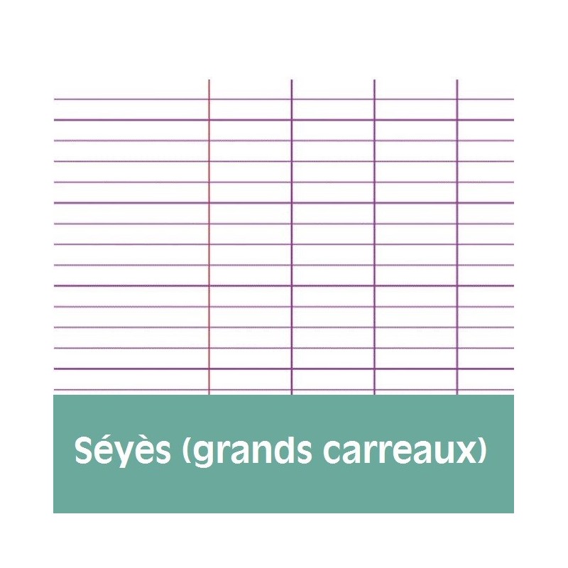 4 cahiers 34x32 grands carreaux 96 pages polypro